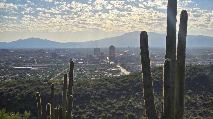 From Africa and Asia to Arizona - Building New Lives in Tucson