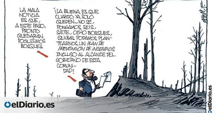 Bosques
