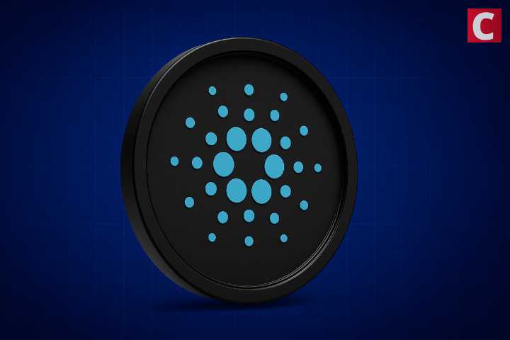 Cardano Foundation Overhauls Developer Portal