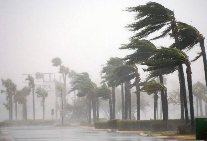 Citizens Insurance appeals in battle over claims disputes