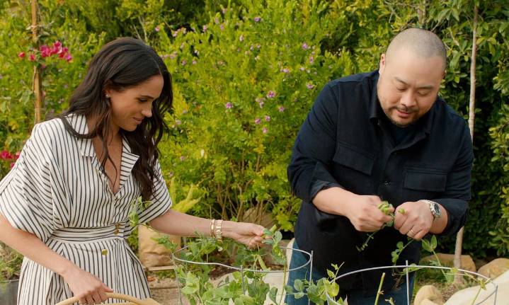 Meghan Markle’s shameless PR stunt with David Chang is disgusting