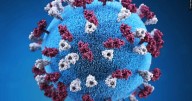 'All Wisconsinites urged to check vaccination status': More measles cases diagnosed in Wisconsin