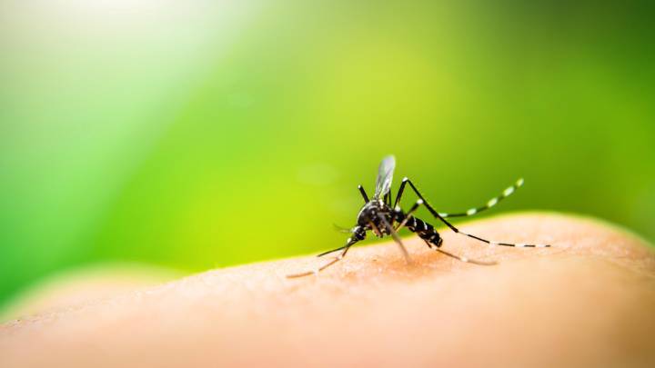 Michigan's first case of West Nile detected in Livingston County