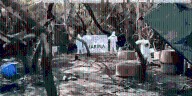 Desmantelan en Nayarit laboratorio clandestino y decomisan 13 toneladas de metanfetamina