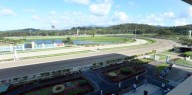 Comisión de Juegos del Gobierno de Puerto Rico suspende a transportista por proveer información fals – NotiCel 