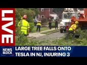 LIVE: Large tree falls onto Tesla in New Jersey, injuring 3 people