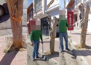 ¡In fraganti! Macheteaban un árbol y los multaron