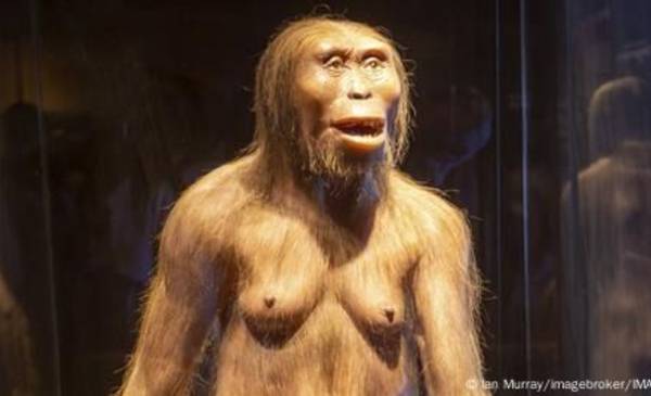 Descubren una nueva especie que cambia lo conocido sobre la evolución humana
