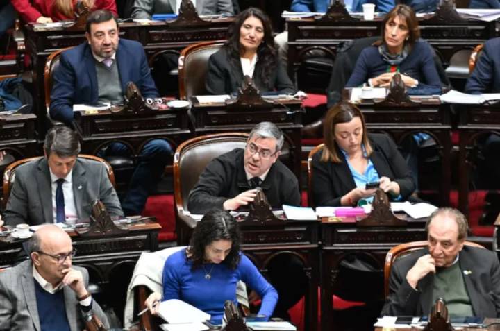Diputados rechazó el veto de Milei a la Ley de Emergencia en Discapacidad y la discusión pasa al Senado
