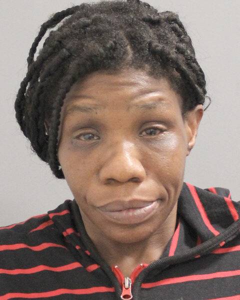 Homeless Woman Arrested for Burglary and Assault in Farmingdale Apartment Incident
