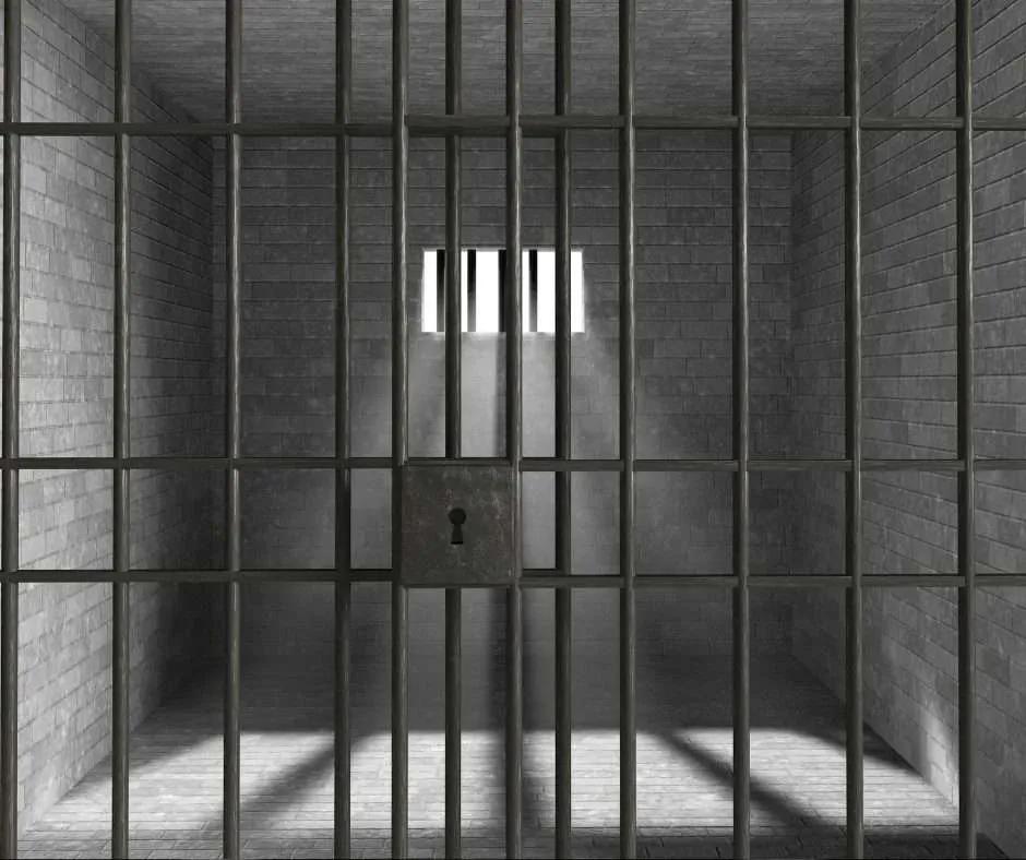 Jackson Man Pleads Guilty in Attempted Armed Robbery of Dollar Store