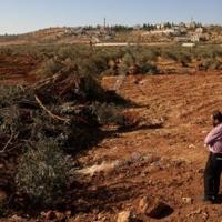 Israeli bulldozers uproot hundreds of trees in West Bank village