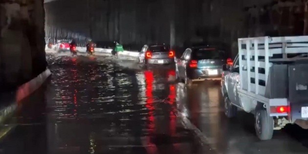 Lluvia deja árboles caídos y autos varados en ZMG