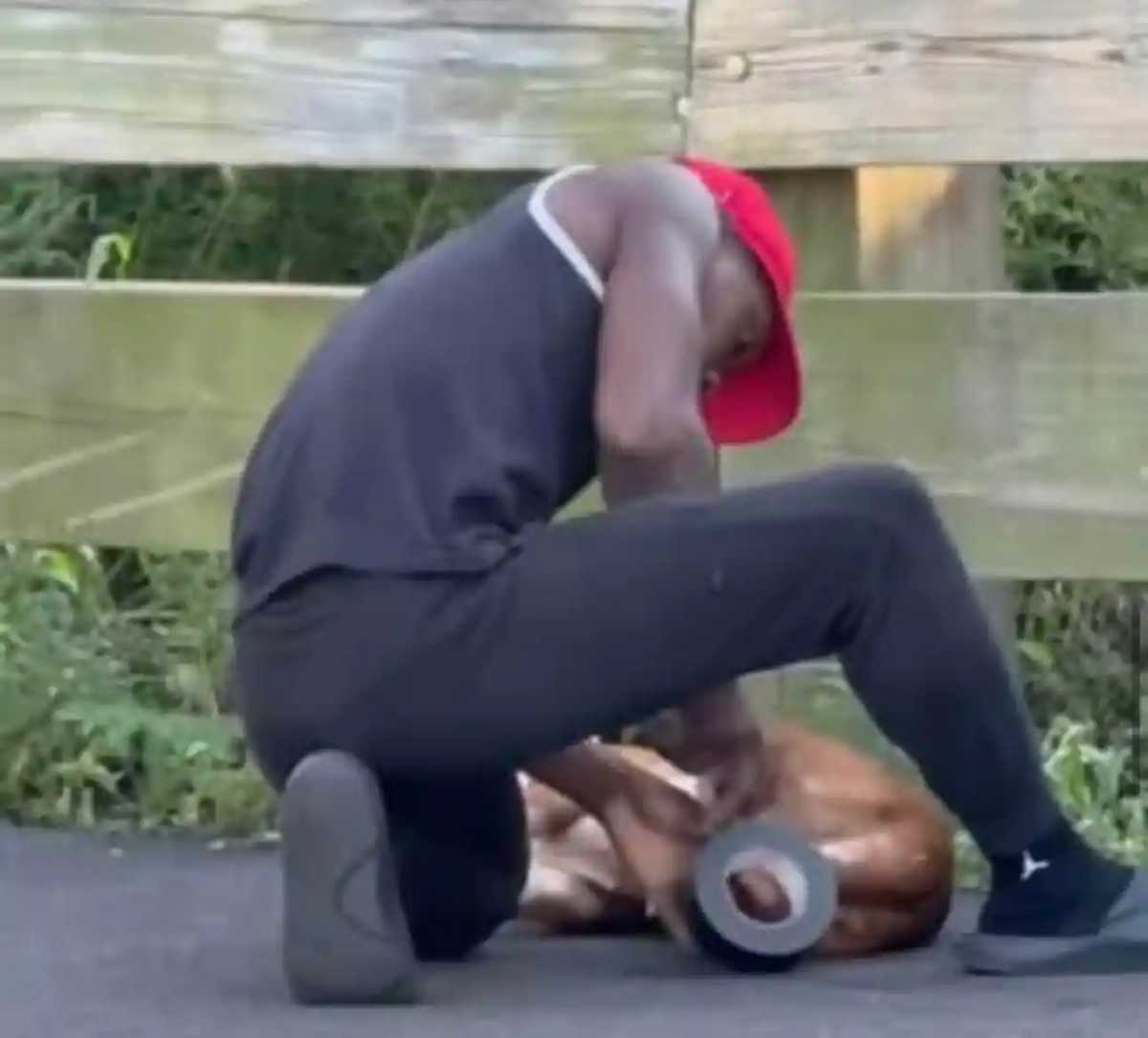 Brooklyn man charged with animal cruelty for duct taping pit bull in Gwen Ifill Park in Locust Manor: DA