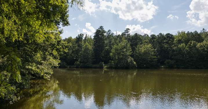Impacto económico del turismo en Carolina del Norte