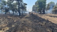 Estabilizado un incendio de vegetación junto a una zona comercial de Pozuelo próxima a la M