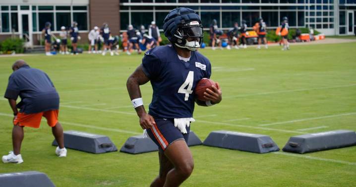 Bears training camp update: Tempers flare in most physical practice of camp
