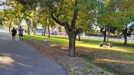 El pronóstico del tiempo en Mendoza anticipó un martes a pleno sol y con ascenso de la temperatura