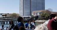Dockside owners vote against repairing Charleston tower