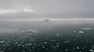 La Antártida entra en fase crítica de cambios acelerados debido al clima