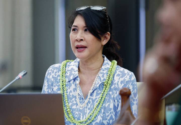 HTA establishes advisory board, wants public input for planning