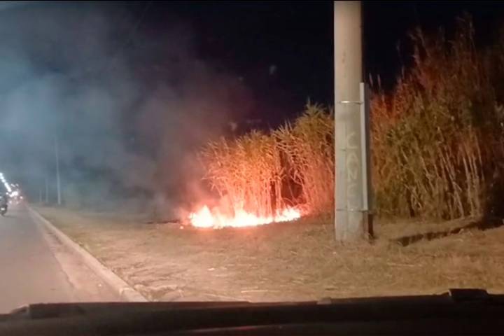 Bomberos sofocaron un incendio de pastizales de gran magnitud en Paraná