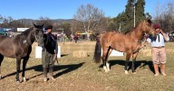 Expo Rural Salteña: actividades, espectáculos imperdibles y todo lo que se viene para este domingo