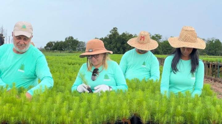 Ministro Saab confirma siembra de más de 4 millones de plantas de pino caribe en Monagas