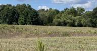 Skeletal remains discovered in Wautoma vacant lot