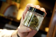 La potencia de la marihuana legal en Canadá se ha multiplicado por cinco en 20 años