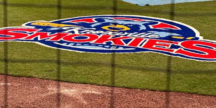 Knoxville Smokies pitch in at Second Harvest Food Bank