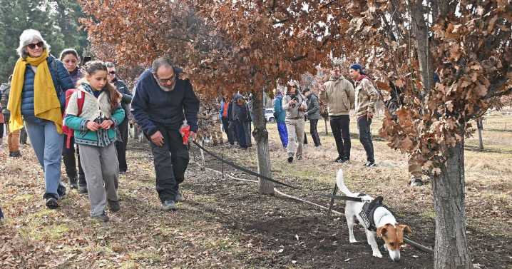 El privilegio de vivir una cacería de trufas en El Bolsón: un tesoro bajo el bosque