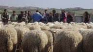 Los agricultores y ganaderos también apagan incendios