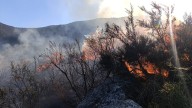 Incendios forestales: ya son 84 los focos en lo que va del año