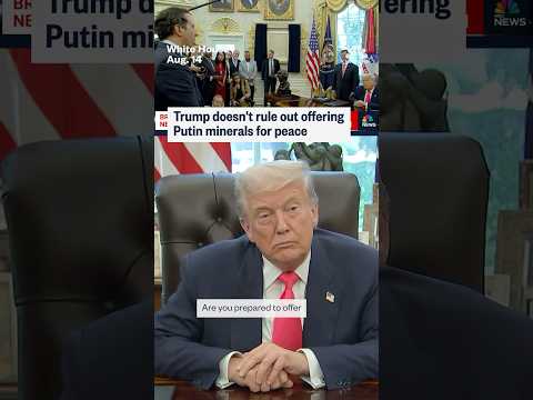 Trump doesn't rule out offering Putin minerals for peace