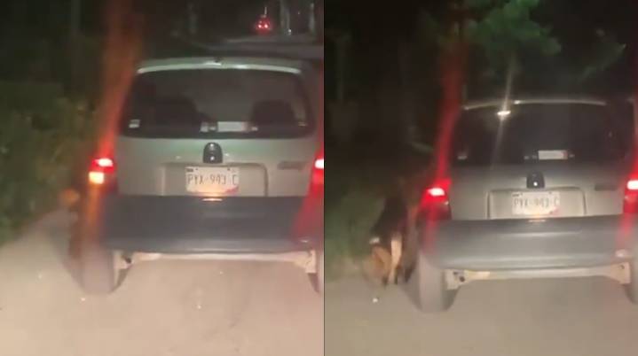 VIDEO | Automovilista arrastra a su mascota en Ocotepec