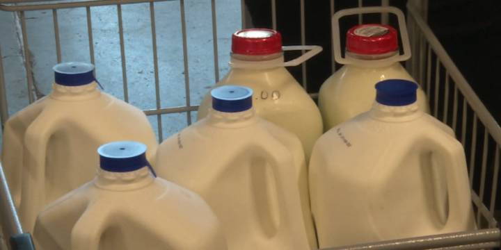 Workers go on strike at Le Mars dairy plant due to working conditions