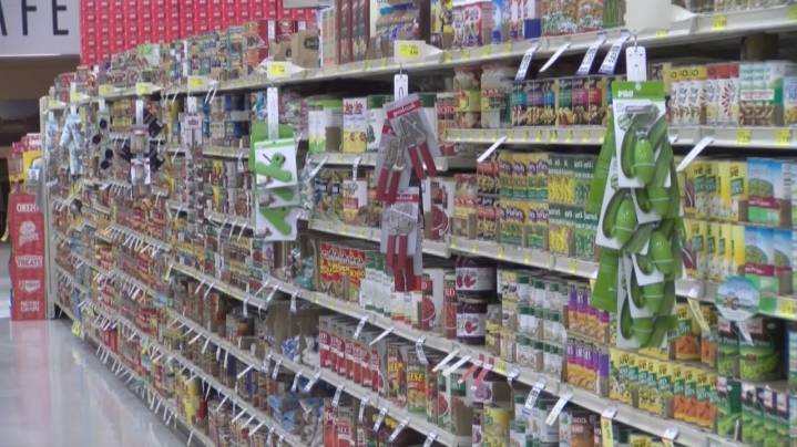 Economic expert weighs in on likely factors behind higher grocery prices