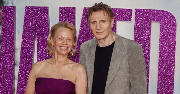 Pamela Anderson and Liam Neeson's Romance Was Just 'Clever Marketing' for Movie, Source Claims: 'There Was Never a Relationship'