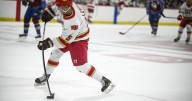 DU-Avs | Csg-web