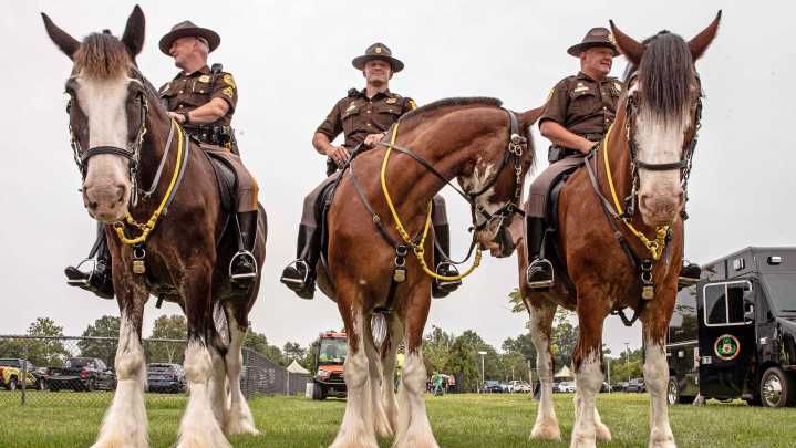 National Night Out: New Castle County police, community gather