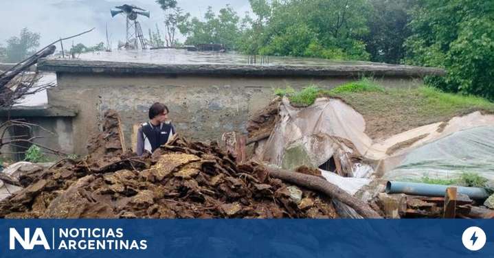 Lluvias torrenciales dejan 307 muertos en el noroeste de Pakistán