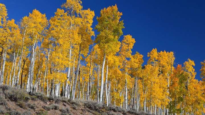 Un otoño prematuro en el mes de agosto
