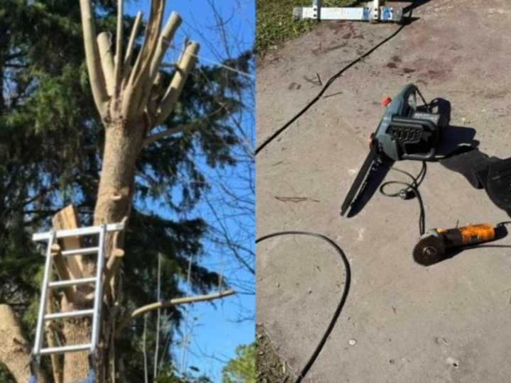Tragedia en La Plata: un jubilado de 86 años murió tras cortarse con una motosierra mientras podaba un árbol en su casa