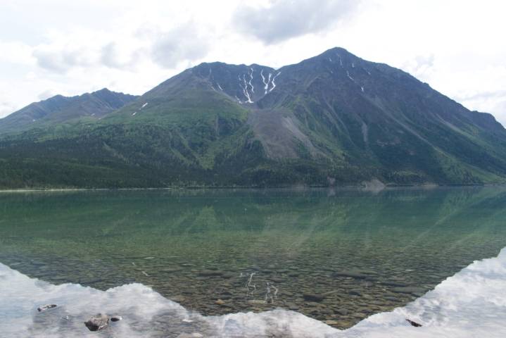Parks Canada closes Yukon trail after bear spray used twice to deter grizzly