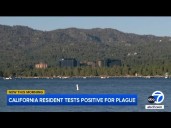 CA resident tests positive for plague