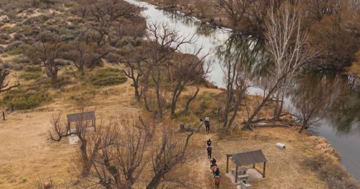 Paseo a caballo y comida casera a orillas del río en Senillosa: el plan para este fin de semana