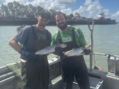 B.C. fishing industry wants more access to Fraser River sockeye surge