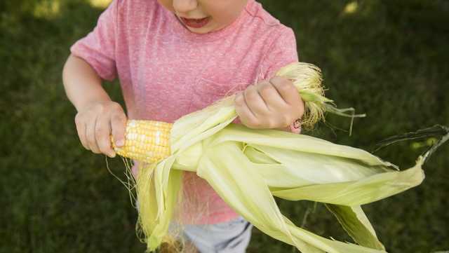 Events in Des Moines Aug. 8
