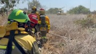 Medios terrestres y aéreos extinguen un incendio en El Palmar